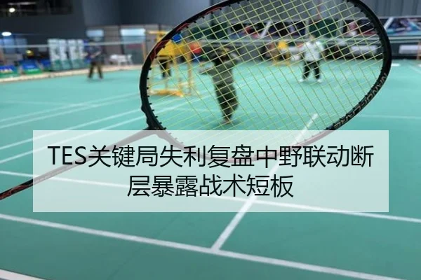 TES关键局失利复盘中野联动断层暴露战术短板
