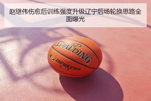 赵继伟伤愈后训练强度升级辽宁后场轮换思路全面曝光